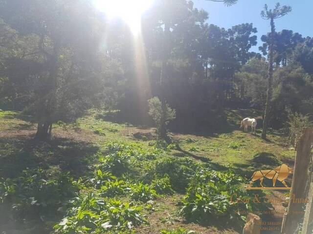 Terreno para Venda em Campos do Jordão - 4