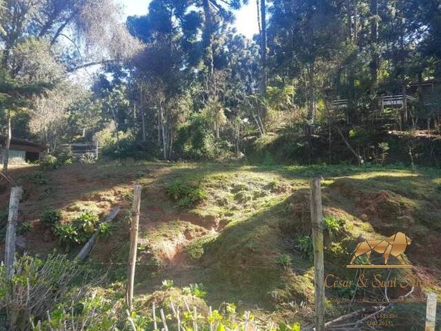 Terreno para Venda em Campos do Jordão - 5