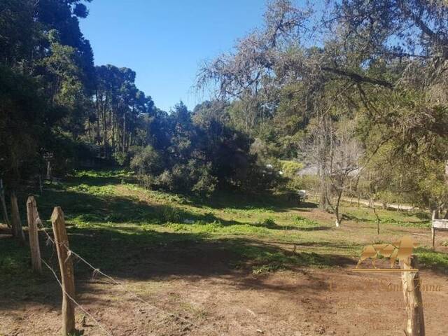 #TE0035 - Terreno para Venda em Campos do Jordão - SP - 1