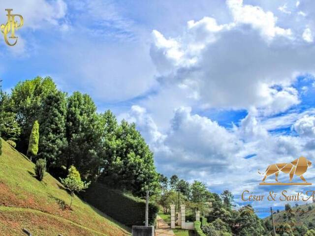 Terreno para Venda em Campos do Jordão - 2