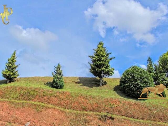 Terreno para Venda em Campos do Jordão - 3