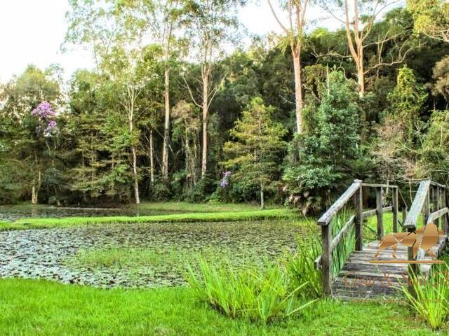 Terreno para Venda em Campos do Jordão - 5