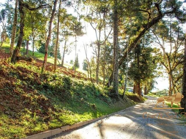 Terreno para Venda em Campos do Jordão - 4