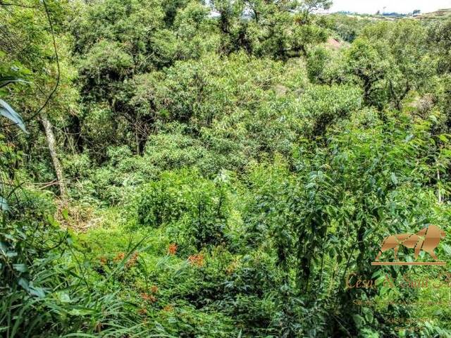 Terreno para Venda em Campos do Jordão - 3