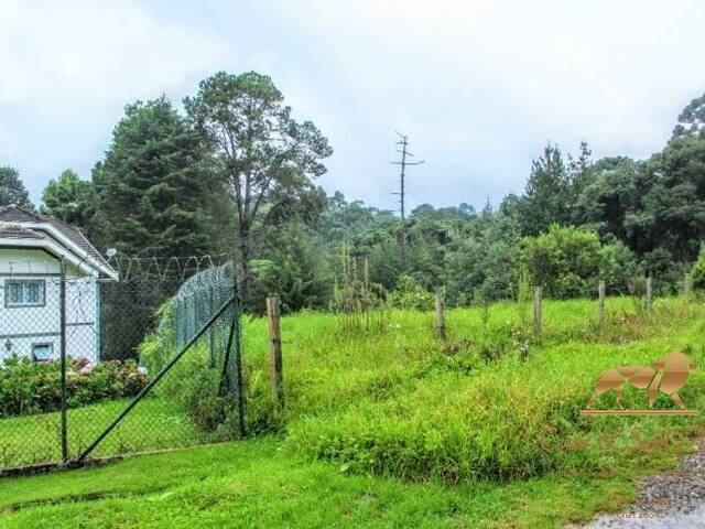 #TE0054 - Terreno para Venda em Campos do Jordão - SP - 2