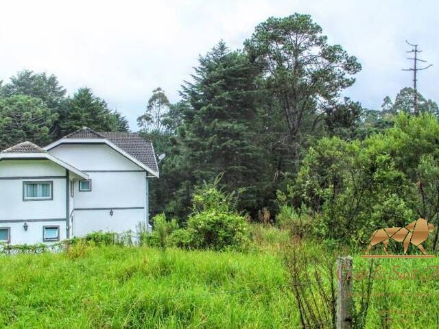 #TE0054 - Terreno para Venda em Campos do Jordão - SP - 3