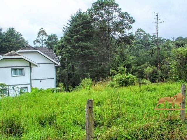 Terreno para Venda em Campos do Jordão - 4