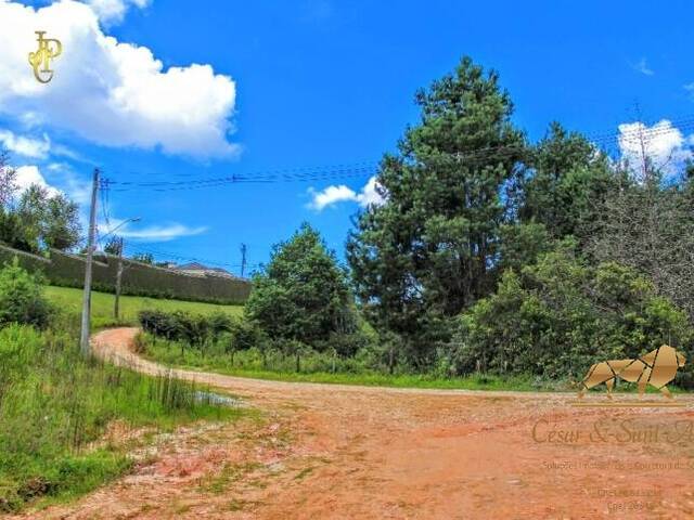 Terreno para Venda em Campos do Jordão - 2