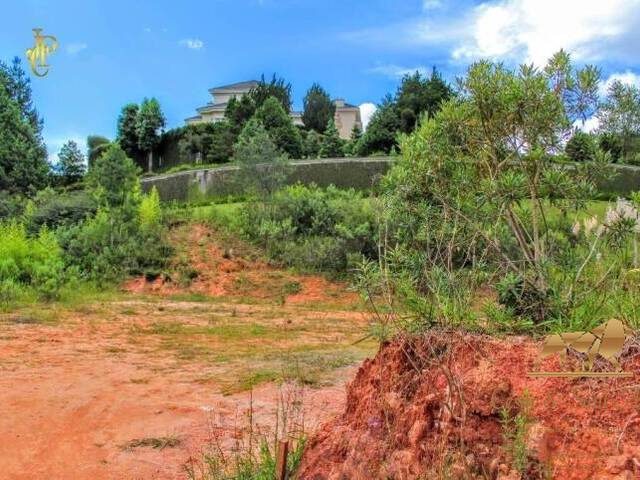 Terreno para Venda em Campos do Jordão - 5