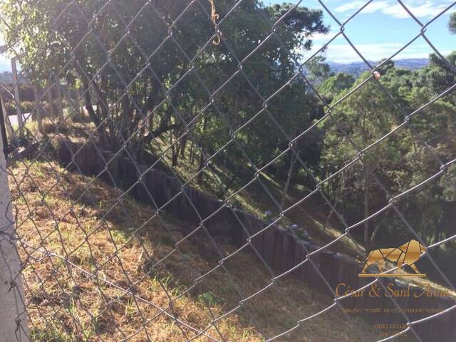 Terreno para Venda em Campos do Jordão - 5