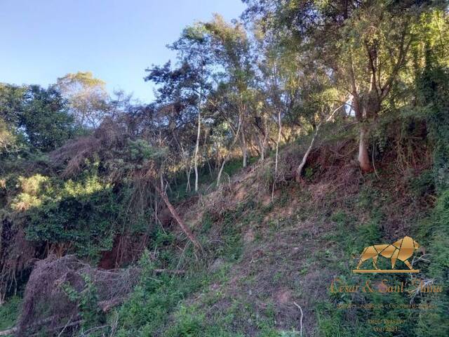 Terreno para Venda em Campos do Jordão - 5