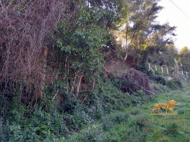 Terreno para Venda em Campos do Jordão - 4