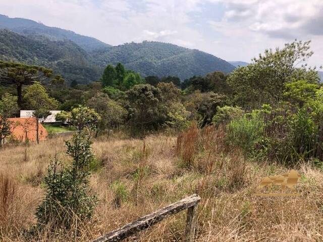 #TE0072 - Terreno para Venda em Campos do Jordão - SP - 3