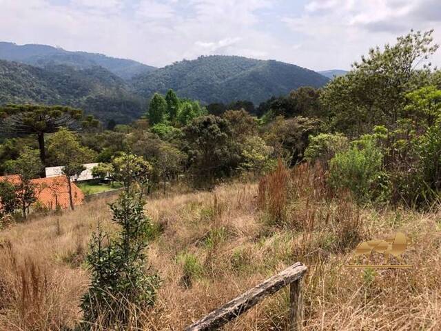 Terreno para Venda em Campos do Jordão - 4