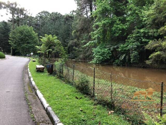 #TE0078 - Terreno para Venda em Campos do Jordão - SP - 3