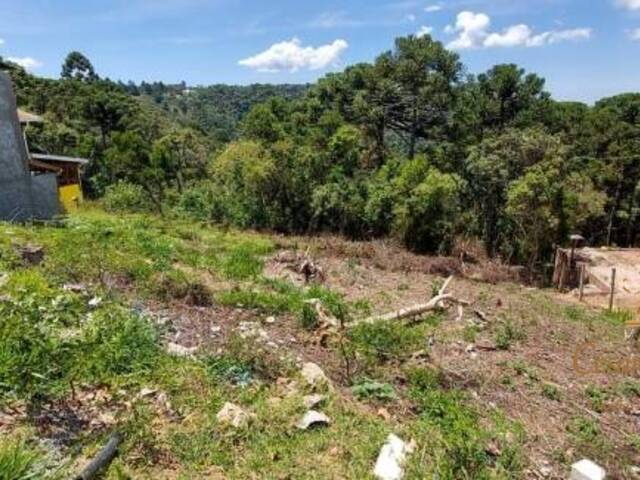 Terreno para Venda em Campos do Jordão - 5