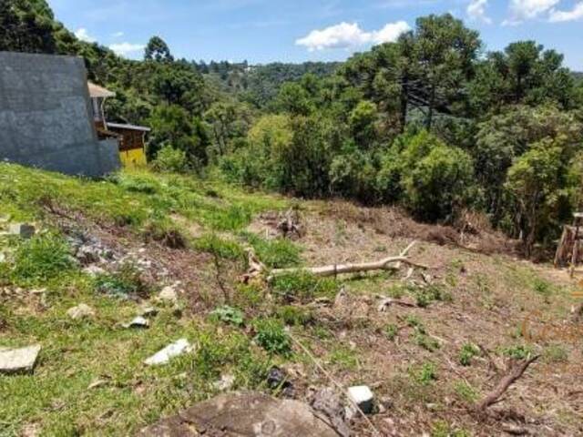 Terreno para Venda em Campos do Jordão - 4