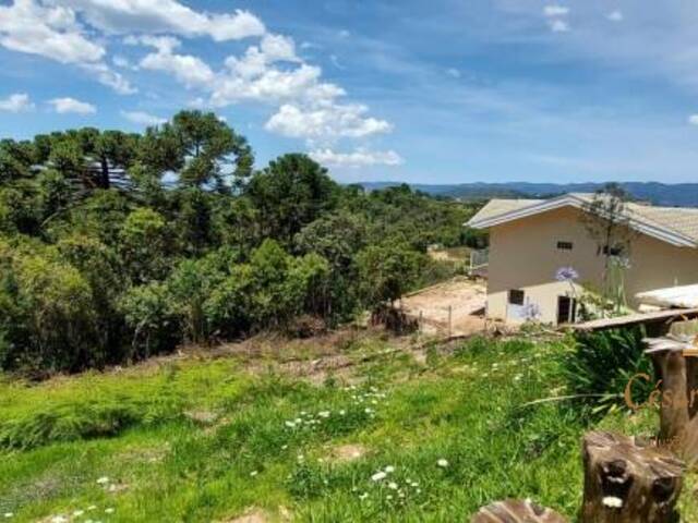 Terreno para Venda em Campos do Jordão - 3