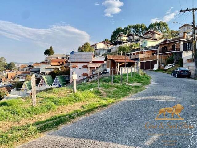 Terreno para Venda em Campos do Jordão - 5