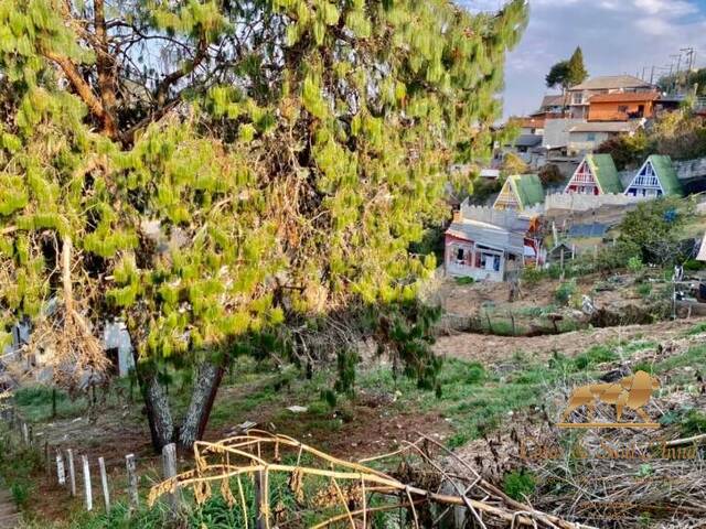 Terreno para Venda em Campos do Jordão - 3