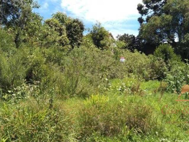 Terreno para Venda em Campos do Jordão - 2