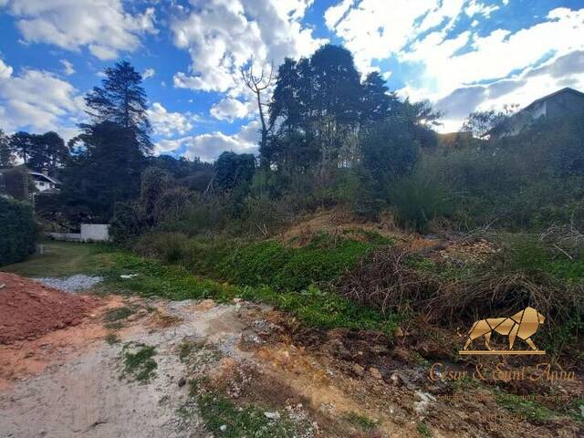 Terreno para Venda em Campos do Jordão - 3