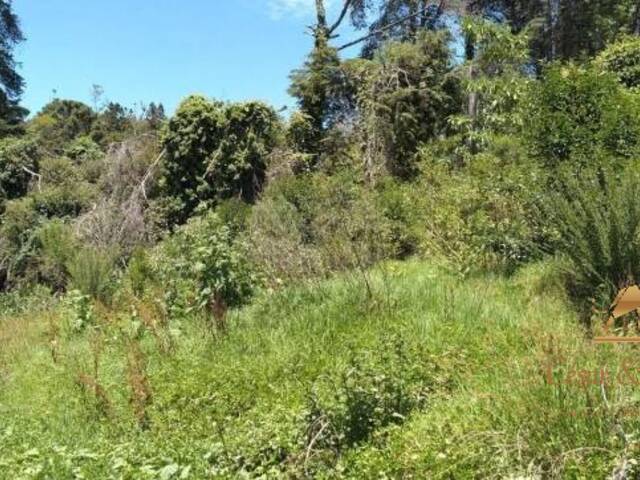 Terreno para Venda em Campos do Jordão - 4