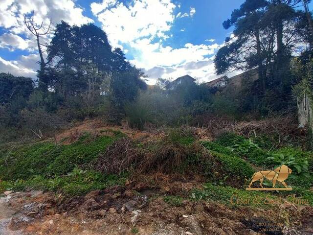 Terreno para Venda em Campos do Jordão - 5