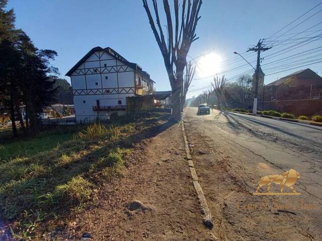 #TE0084 - Terreno para Venda em Campos do Jordão - SP - 2