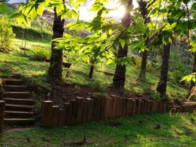 Terreno para Venda em Campos do Jordão - 1