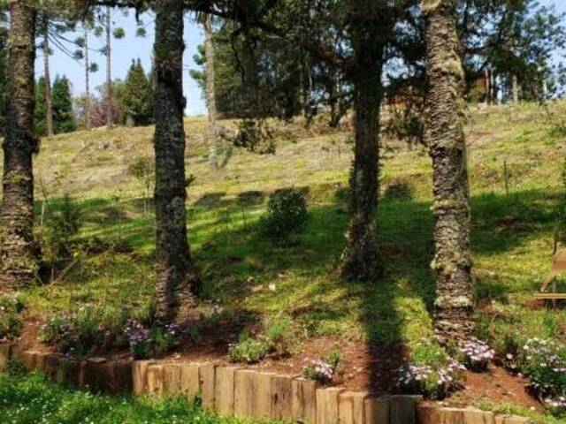 Terreno para Venda em Campos do Jordão - 5