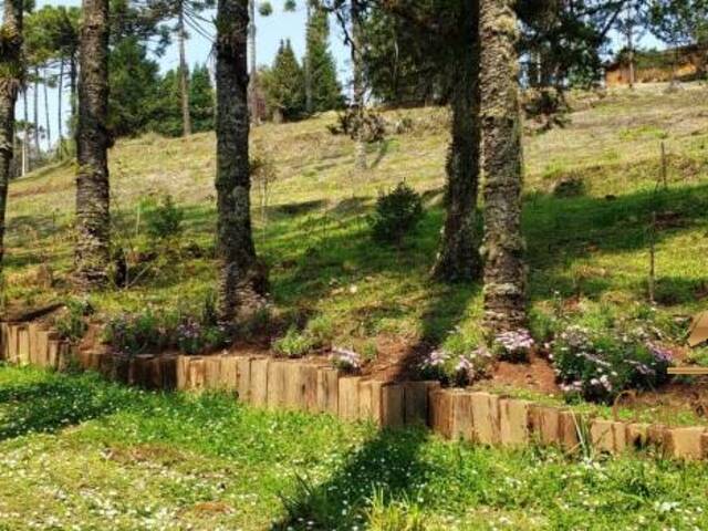 Terreno para Venda em Campos do Jordão - 4