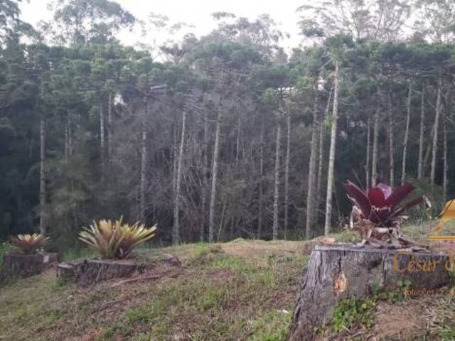 Terreno para Venda em Campos do Jordão - 3