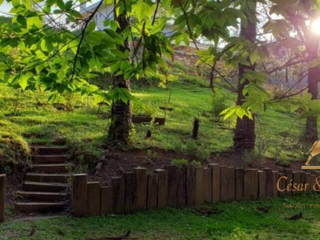 #TE0085 - Terreno para Venda em Campos do Jordão - SP - 2