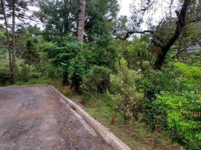 Terreno para Venda em Campos do Jordão - 4