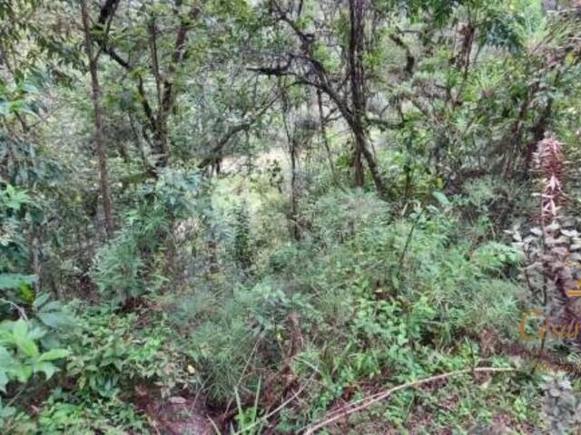 #TE0086 - Terreno para Venda em Campos do Jordão - SP - 2