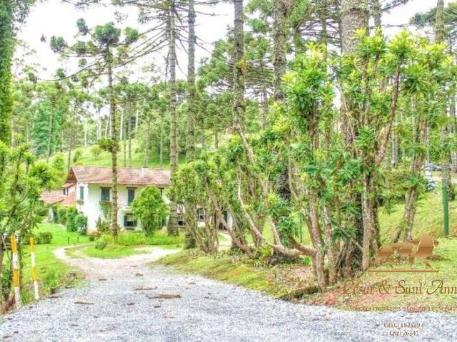 Terreno para Venda em Campos do Jordão - 4