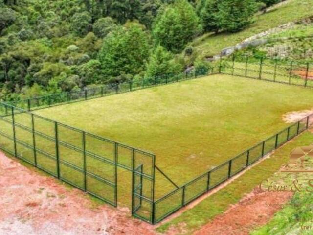 Terreno para Venda em Campos do Jordão - 3