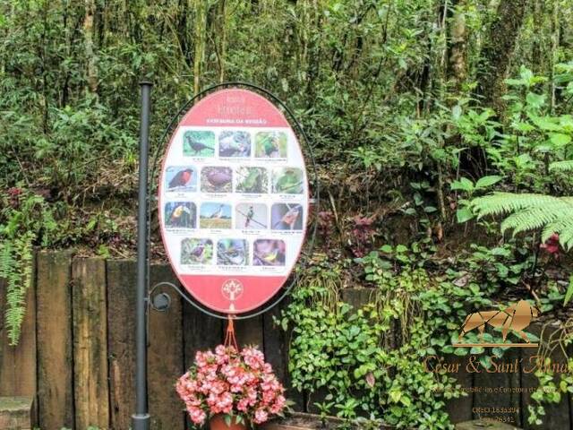 Terreno para Venda em Campos do Jordão - 4