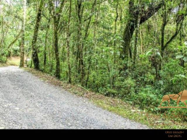 Terreno para Venda em Campos do Jordão - 5