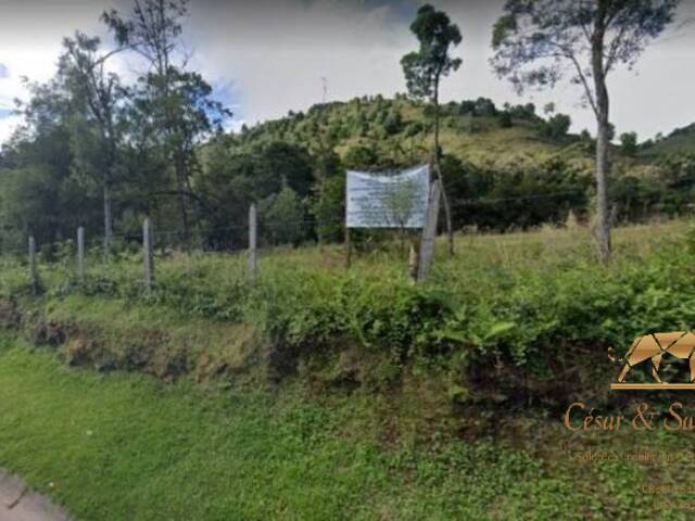 #TE0093 - Terreno para Venda em Campos do Jordão - SP - 3