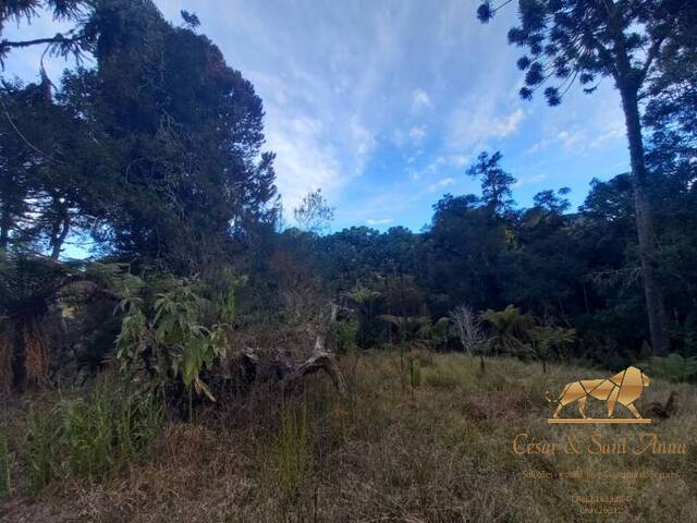 Terreno para Venda em Campos do Jordão - 5