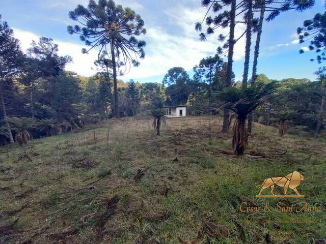 #TE0094 - Terreno para Venda em Campos do Jordão - SP - 3