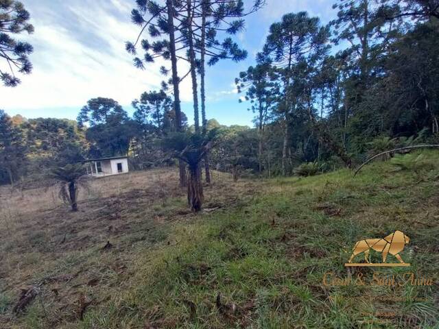 #TE0094 - Terreno para Venda em Campos do Jordão - SP - 2