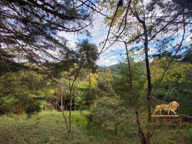 Terreno para Venda em Campos do Jordão - 1