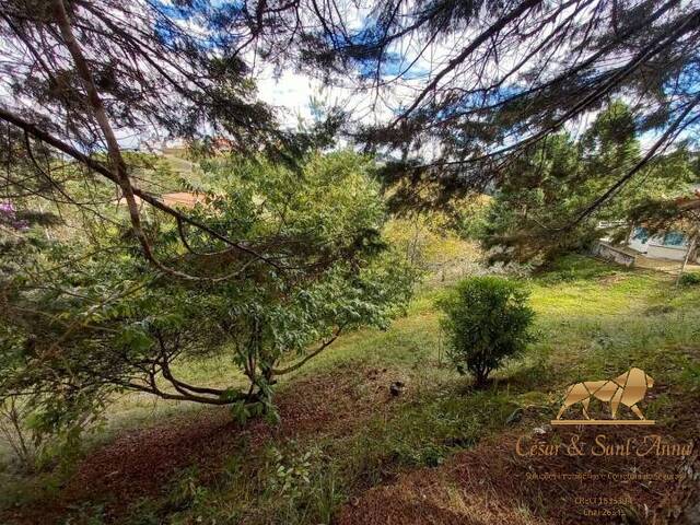 Terreno para Venda em Campos do Jordão - 3