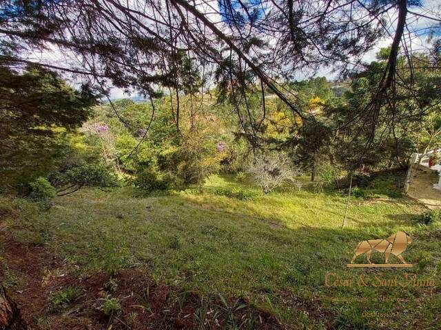 Terreno para Venda em Campos do Jordão - 5