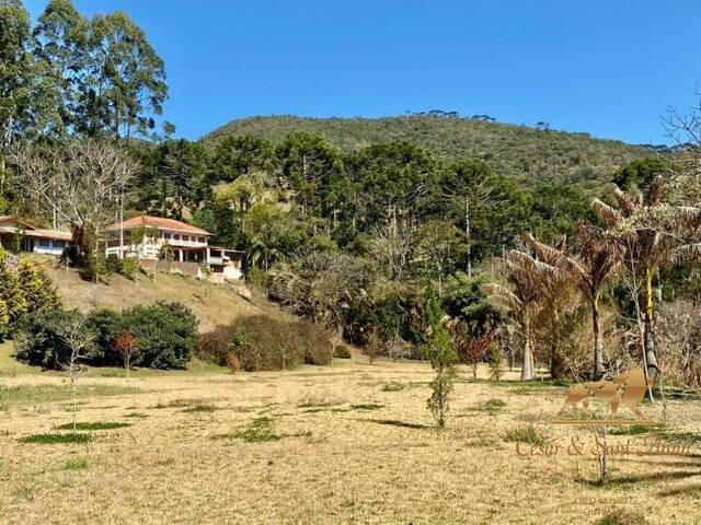 Venda em Zona Rural - Santo Antônio do Pinhal