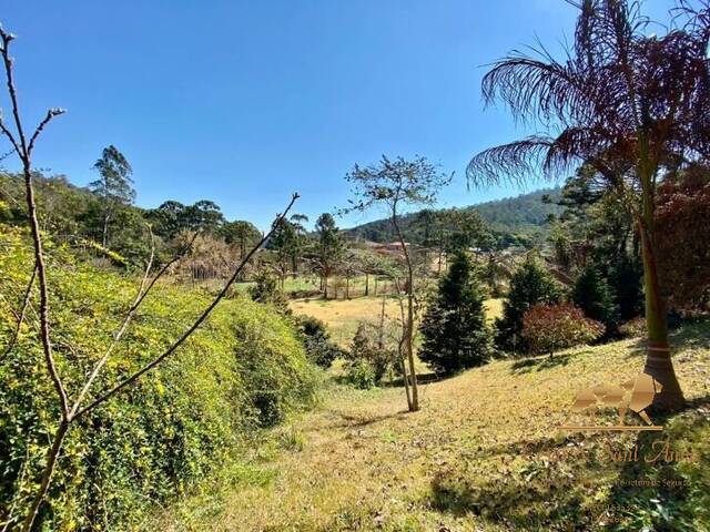 Chácara para Venda em Santo Antônio do Pinhal - 3