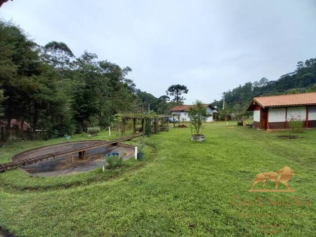 Chácara para Venda em Santo Antônio do Pinhal - 3